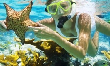 Image of snorkeling in Jamaica