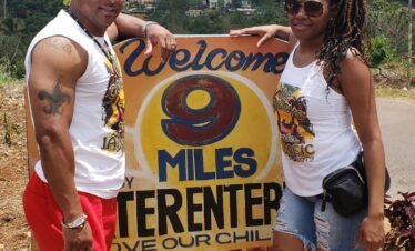 Image of Bob Marley 9 Mile with Irie Excursions & Tours