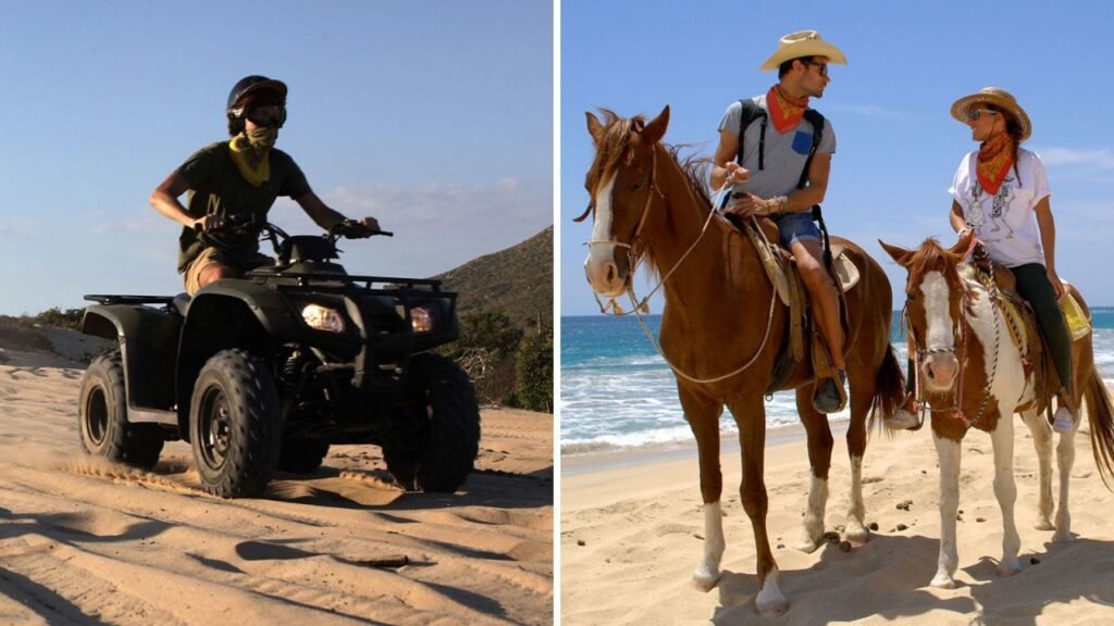 Image of ATV and Horseback riding