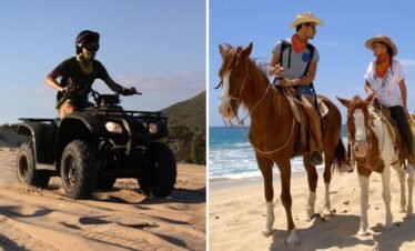 Image of ATV and Horseback riding