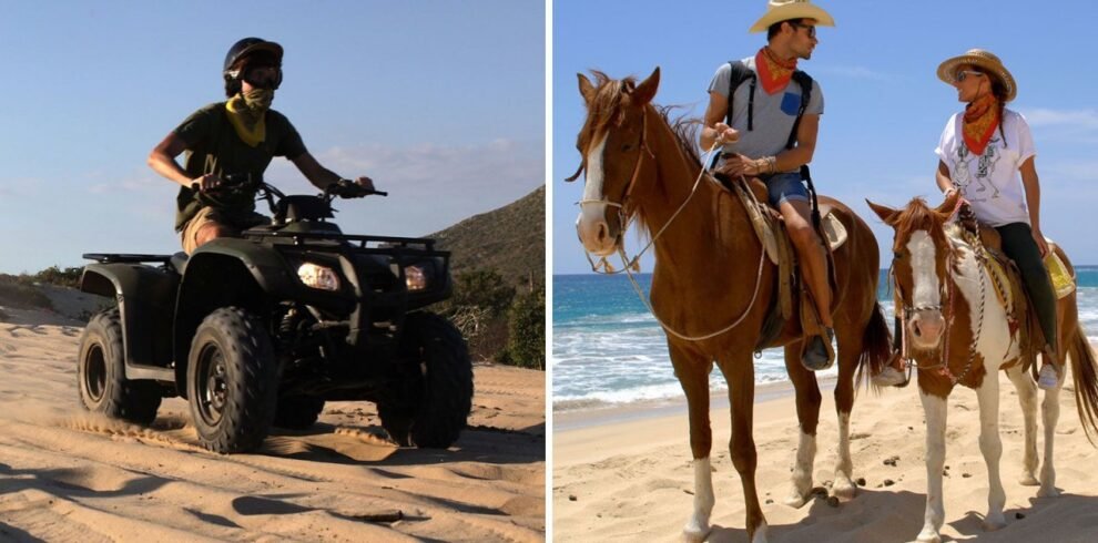 Image of ATV and Horseback riding