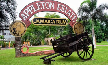 image of appleton rum tour