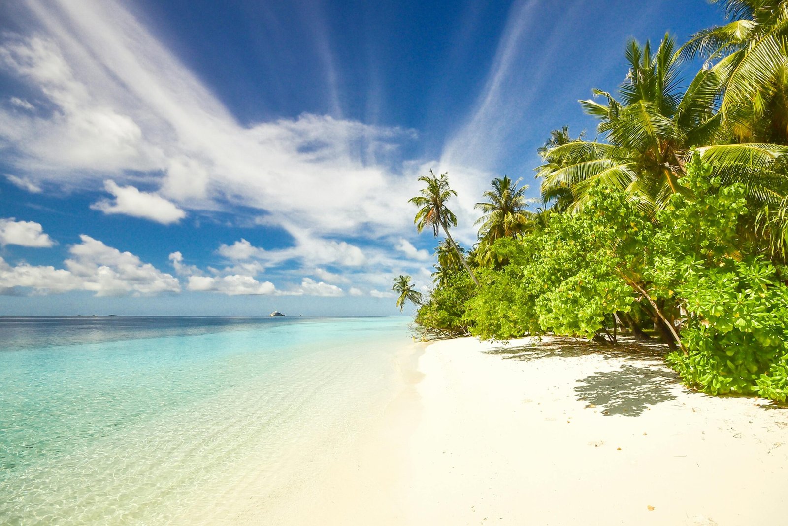 Image of the beach