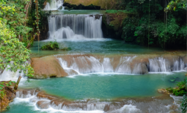 Images of south coast tours in Jamaica