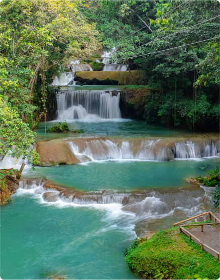 Images of south coast tours in Jamaica